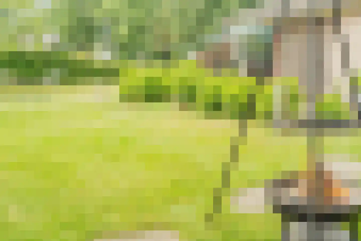 Warmenbossenweg 3 a 1 Schoonloo thumbnail 29