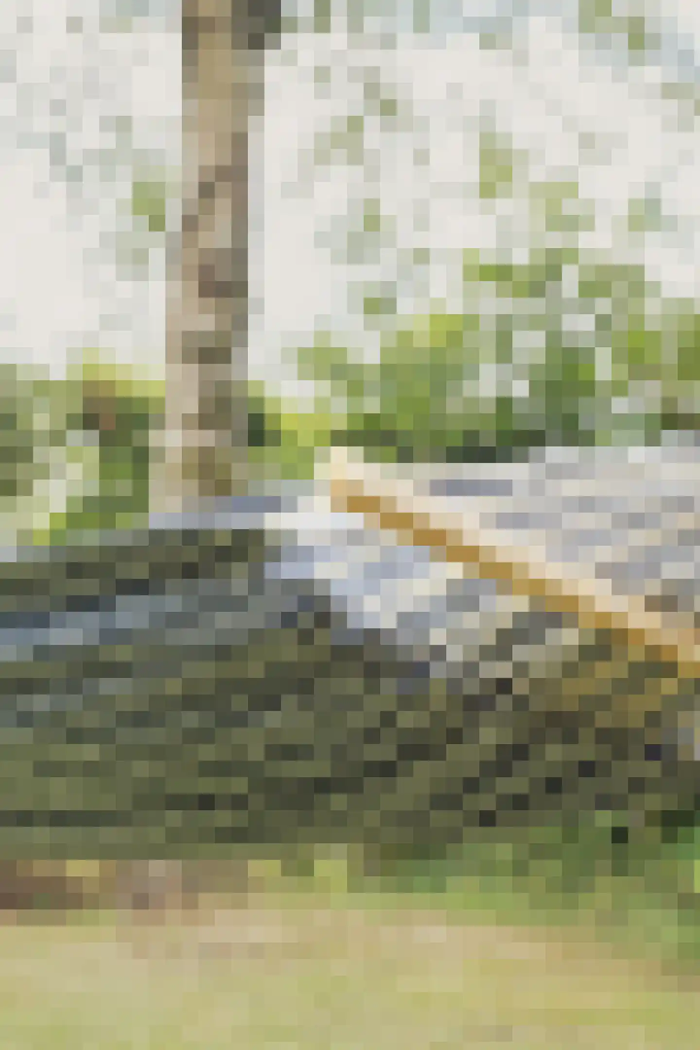 Warmenbossenweg 3 a 1 Schoonloo thumbnail 31