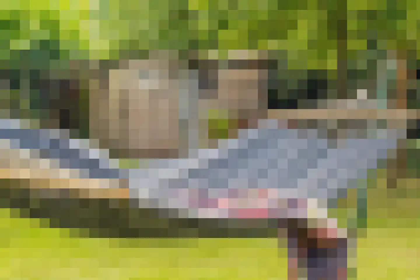 Warmenbossenweg 3 a 1 Schoonloo thumbnail 32