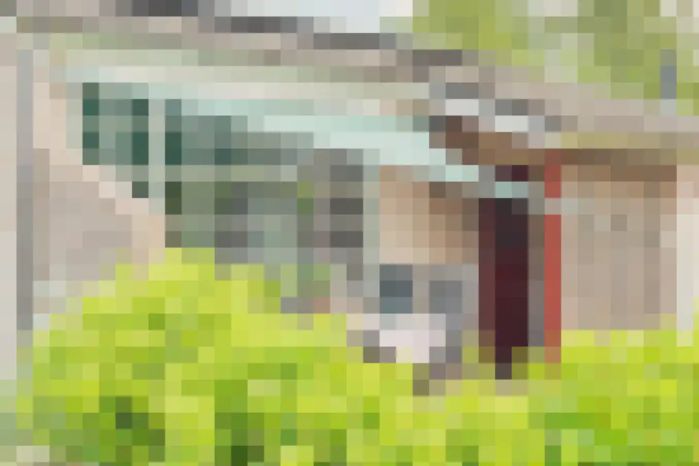 Warmenbossenweg 3 a 1 Schoonloo thumbnail 33