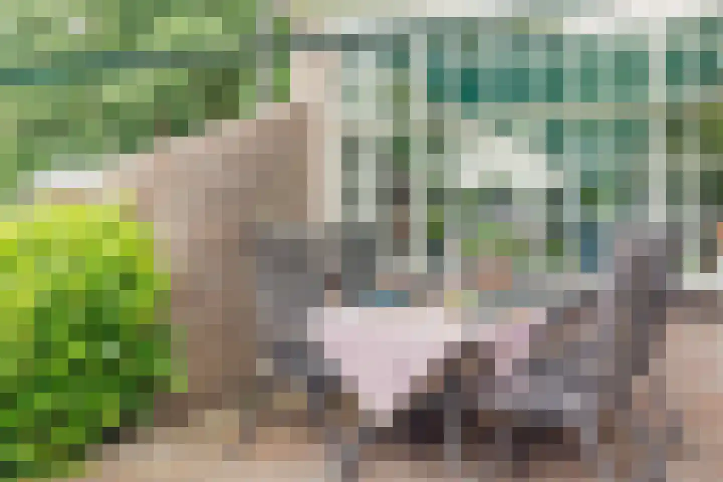 Warmenbossenweg 3 a 1 Schoonloo thumbnail 34