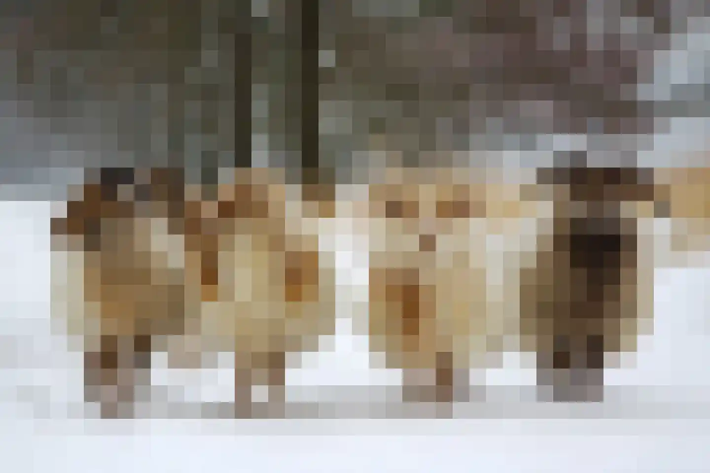 Warmenbossenweg 3 a 1 Schoonloo thumbnail 42