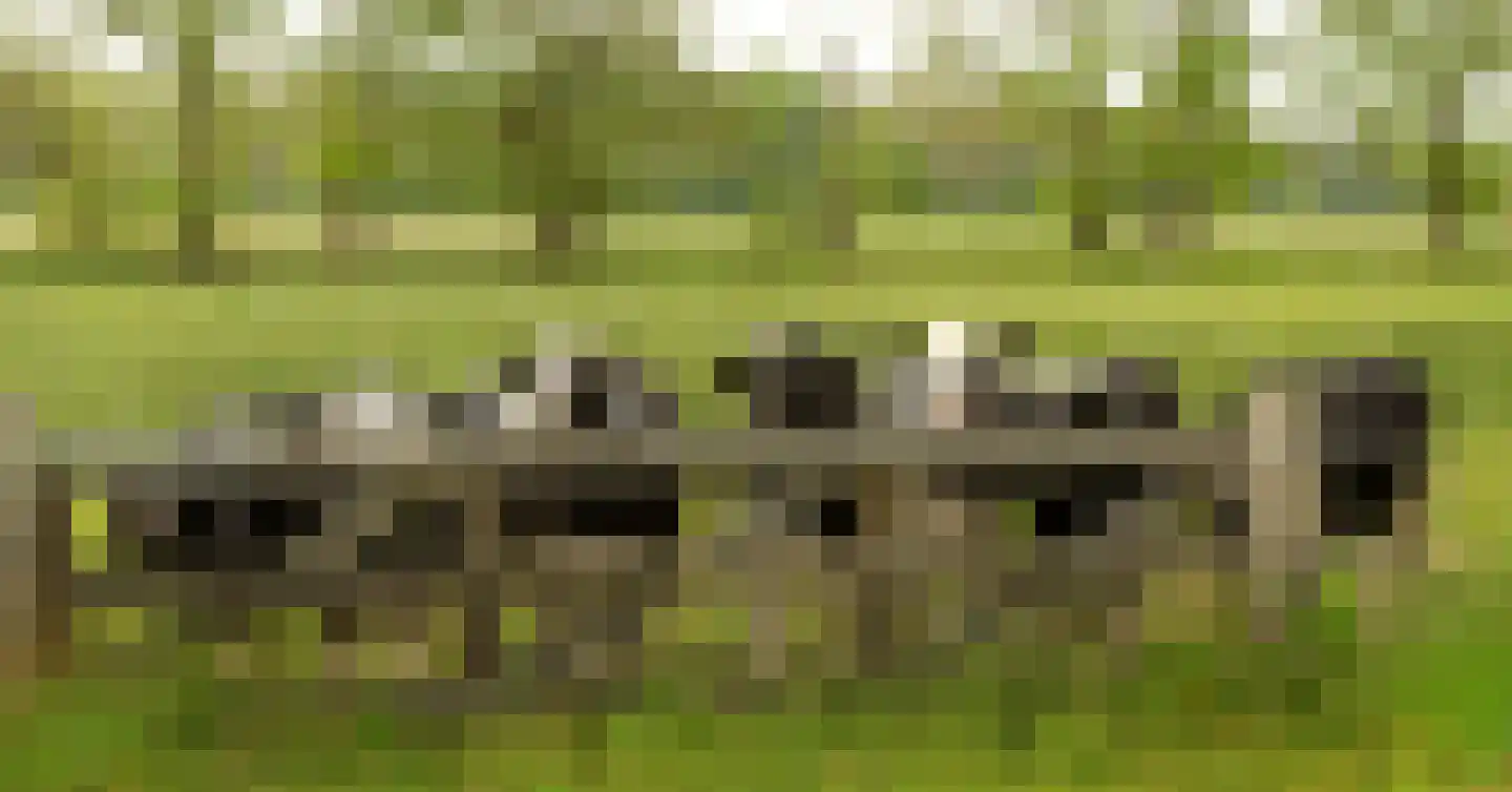 Warmenbossenweg 3 a 1 Schoonloo thumbnail 43