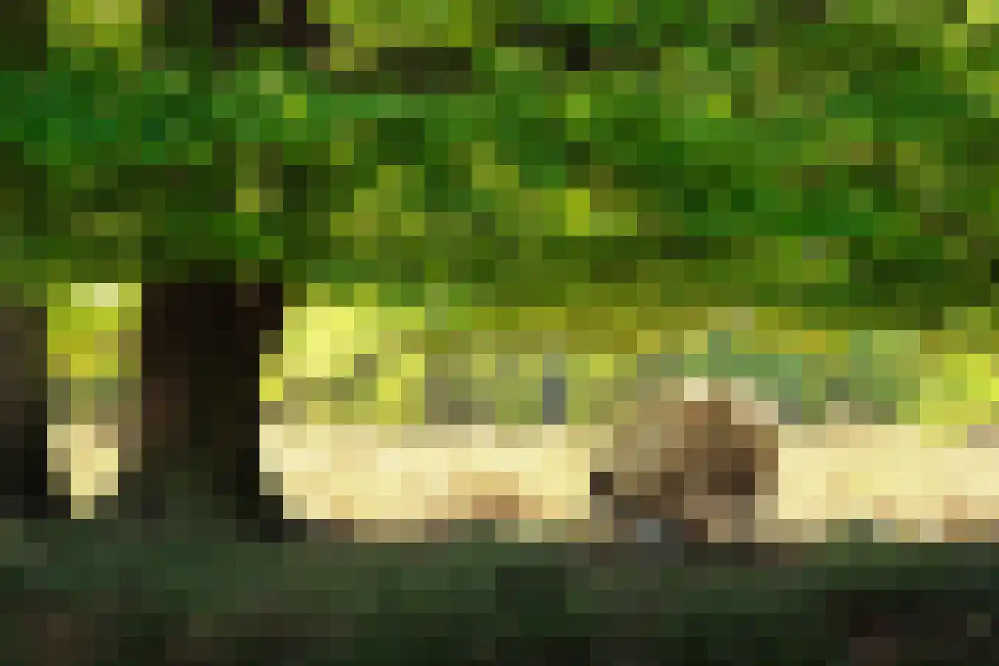 Warmenbossenweg 3 a 1 Schoonloo thumbnail 44