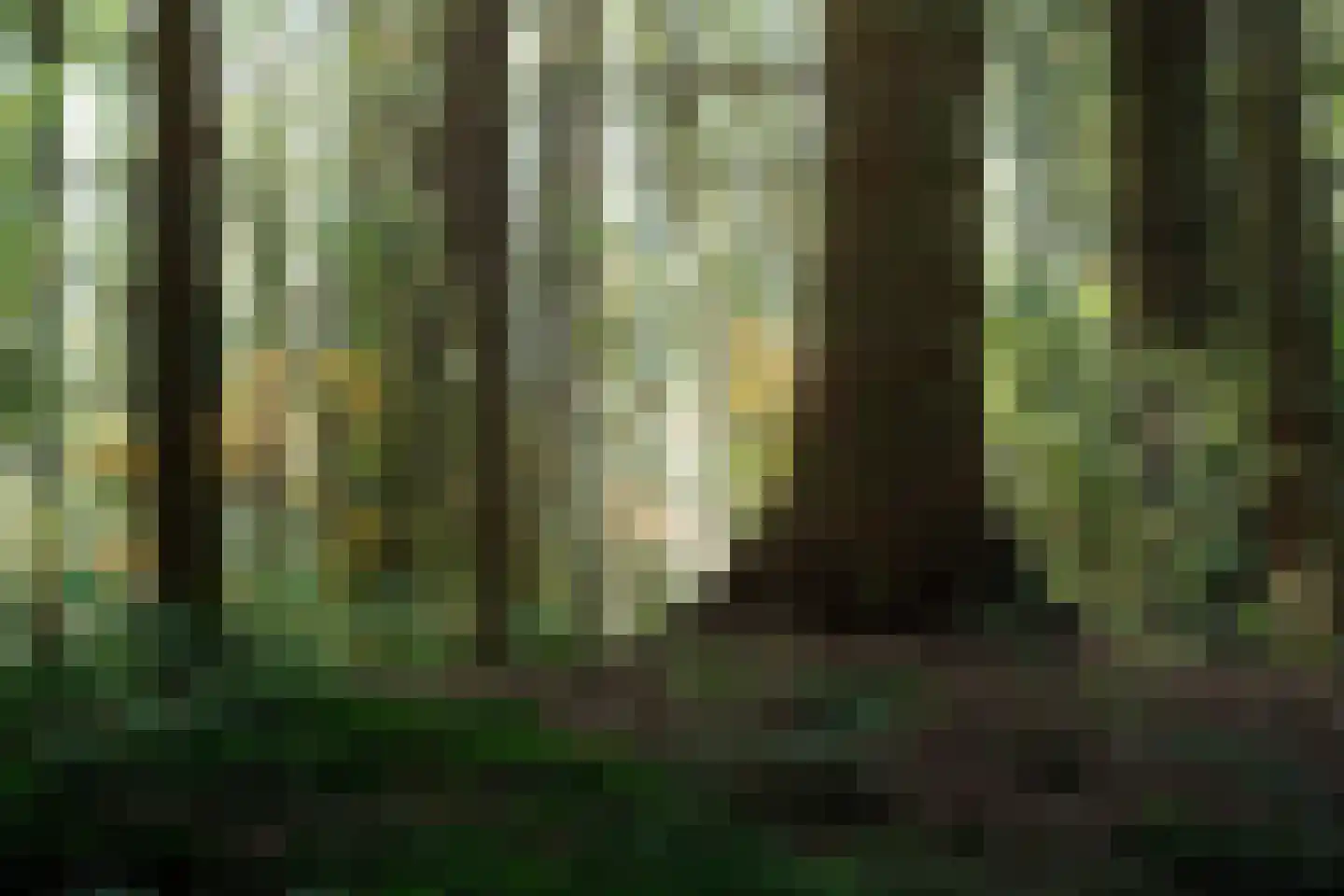 Warmenbossenweg 3 a 1 Schoonloo thumbnail 45