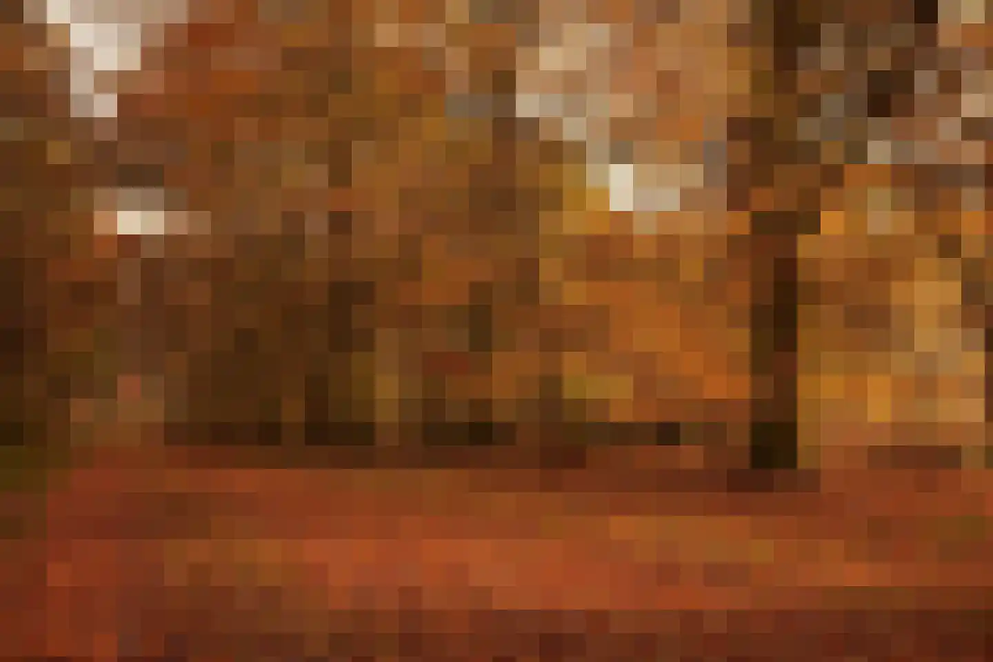Warmenbossenweg 3 a 1 Schoonloo thumbnail 46