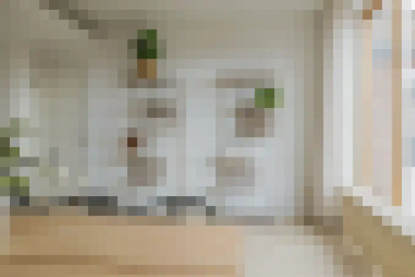 Warmenhovenstraat 3 RD IJmuiden thumbnail 13