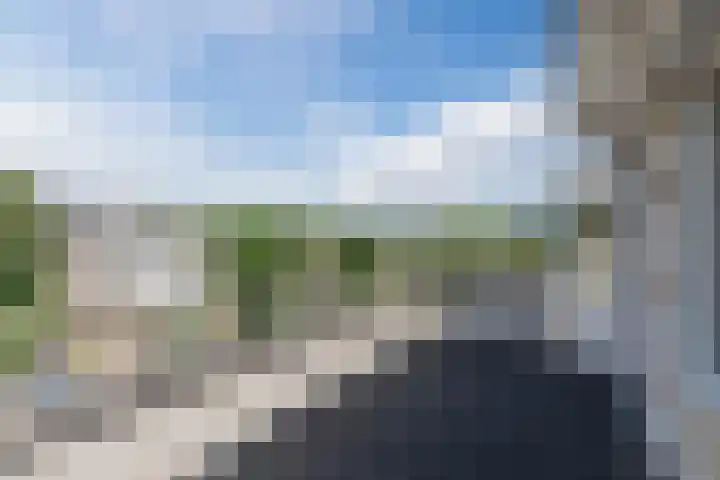 Warmoesdreef 2 Bergen op Zoom thumbnail 48