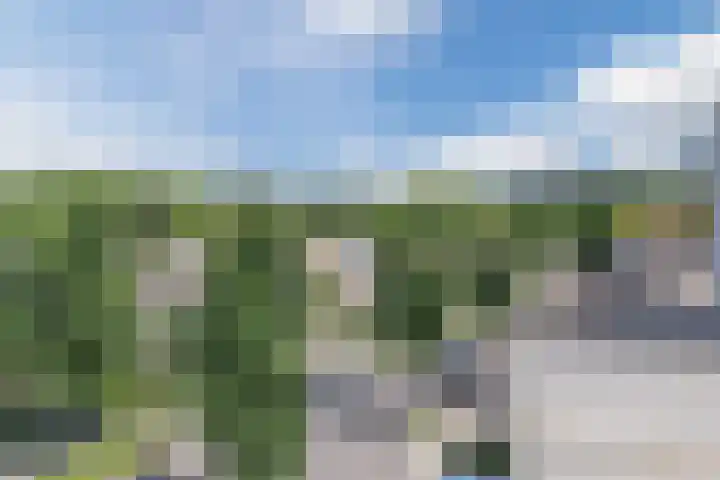 Warmoesdreef 2 Bergen op Zoom thumbnail 49