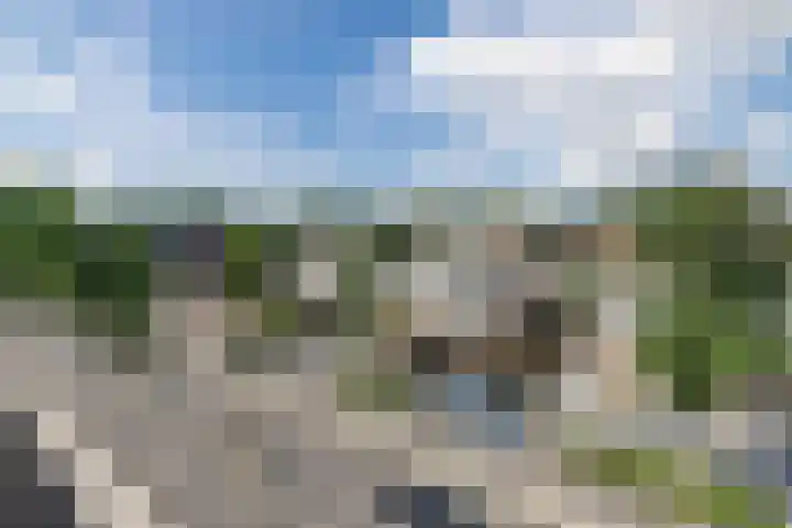 Warmoesdreef 2 Bergen op Zoom thumbnail 50