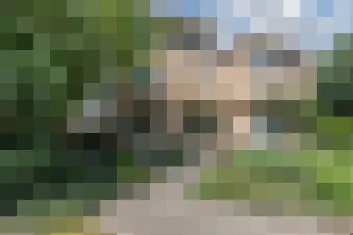 Warmoesdreef 2 Bergen op Zoom thumbnail 54