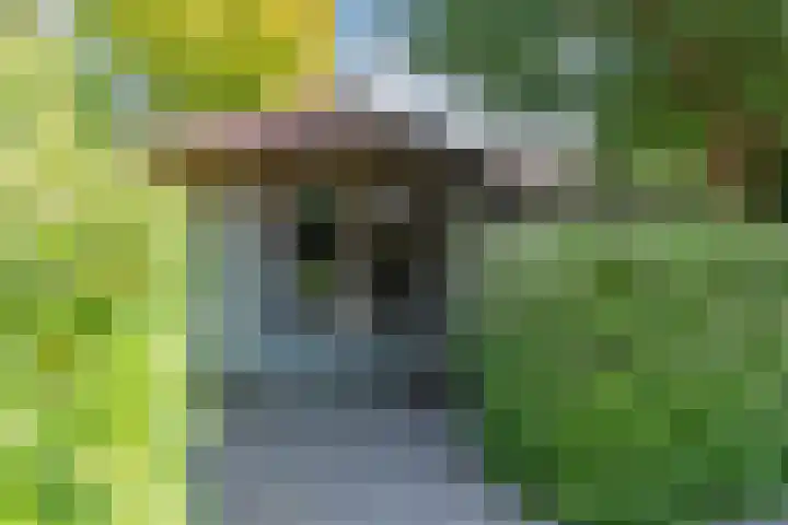 Warmoesdreef 2 Bergen op Zoom thumbnail 56
