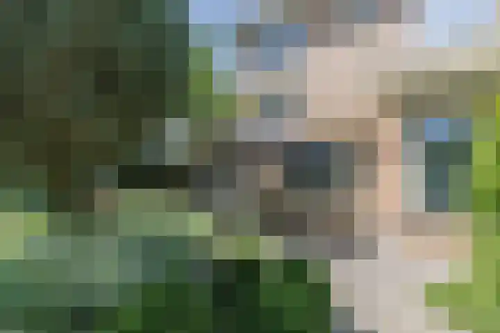 Warmoesdreef 2 Bergen op Zoom thumbnail 57