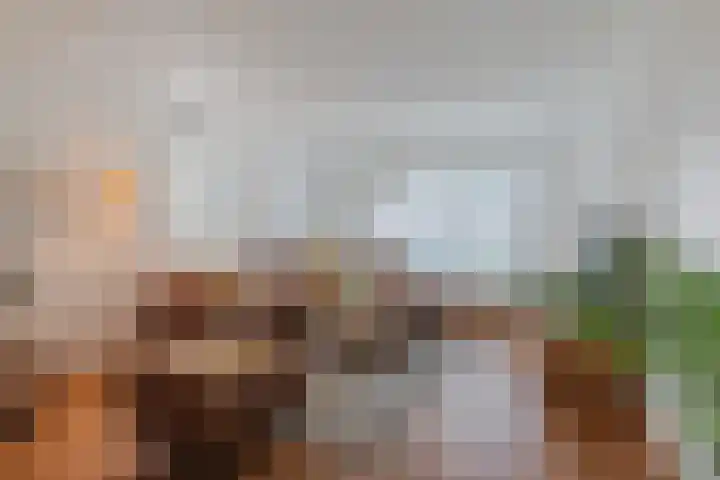 Warmoesdreef 2 Bergen op Zoom thumbnail 6