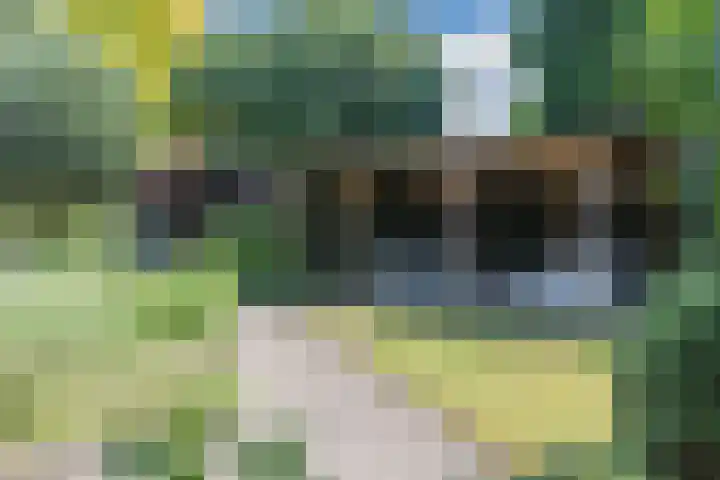 Warmoesdreef 2 Bergen op Zoom thumbnail 60