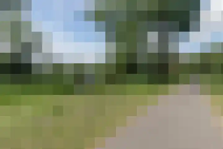 Warmoesdreef 2 Bergen op Zoom thumbnail 66