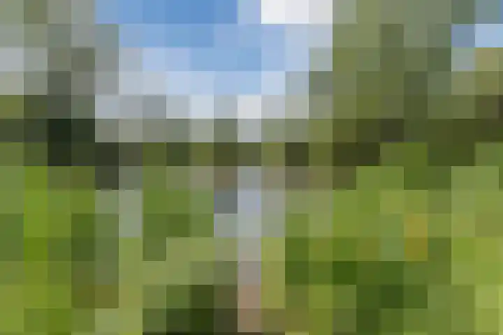 Warmoesdreef 2 Bergen op Zoom thumbnail 67