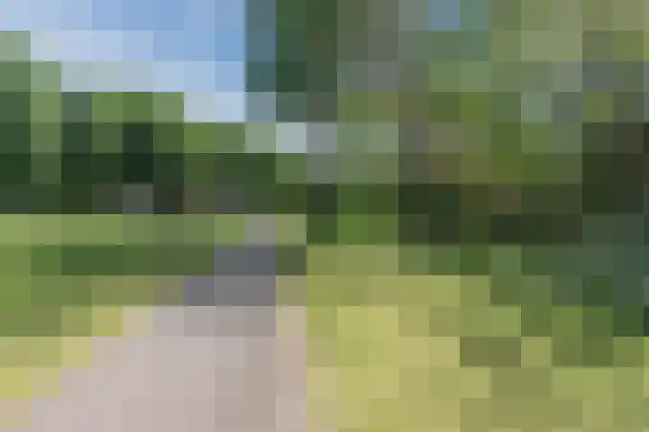 Warmoesdreef 2 Bergen op Zoom thumbnail 68