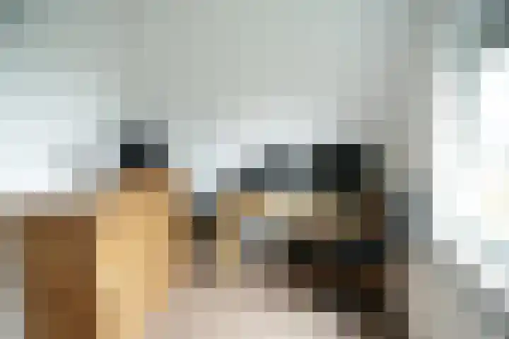 Warmoeshof 14 Rijsbergen thumbnail 15