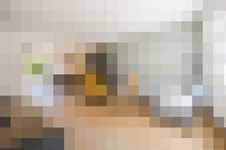 Warmoeshof 20 Rijsbergen thumbnail 10