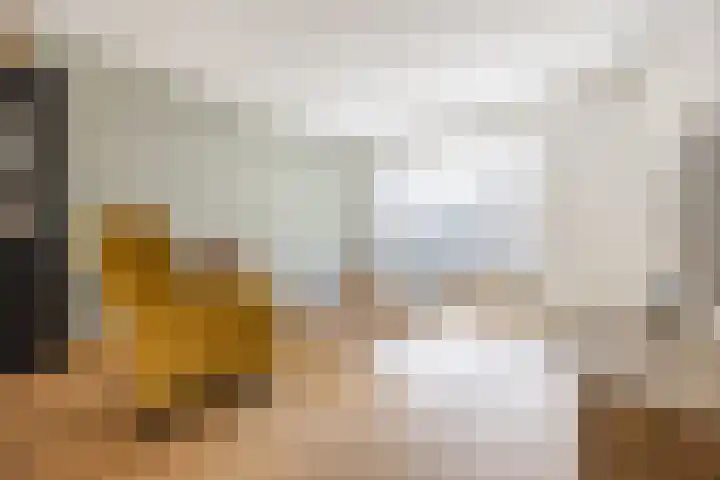 Warmoeshof 20 Rijsbergen thumbnail 11
