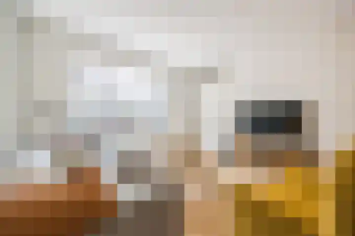 Warmoeshof 20 Rijsbergen thumbnail 12