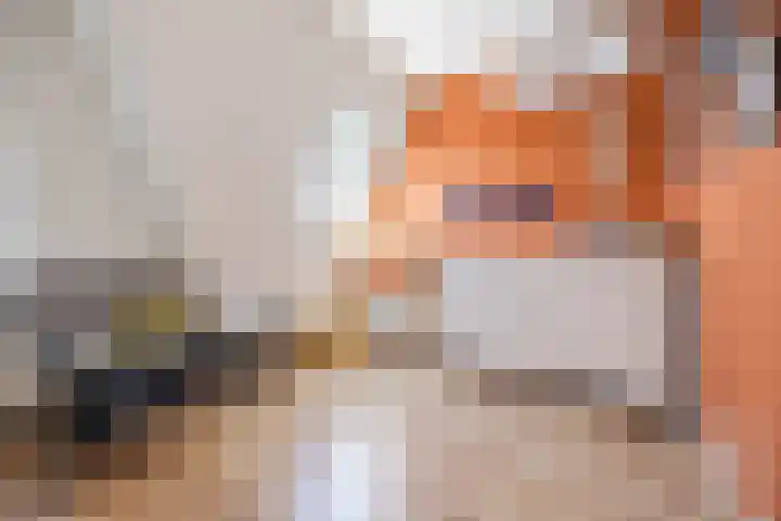 Warmoeshof 20 Rijsbergen thumbnail 32