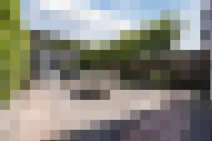 Warmoeshof 20 Rijsbergen thumbnail 35
