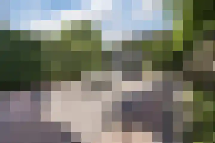 Warmoeshof 20 Rijsbergen thumbnail 36