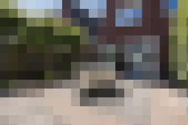 Warmoeshof 20 Rijsbergen thumbnail 38