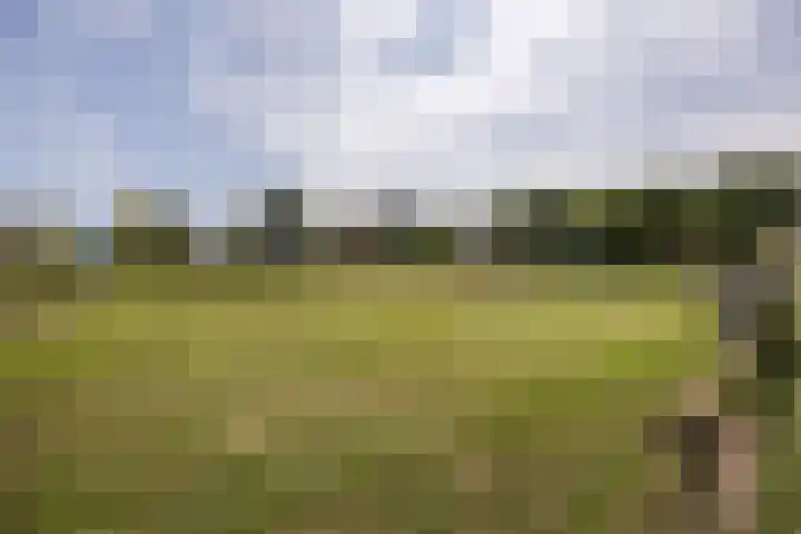 Warmoeshof 20 Rijsbergen thumbnail 39