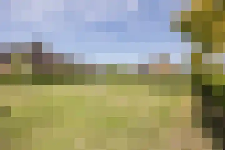 Warmoeshof 20 Rijsbergen thumbnail 40