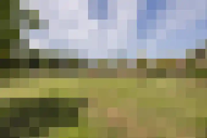 Warmoeshof 20 Rijsbergen thumbnail 41