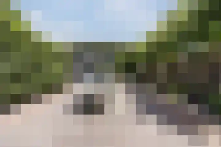 Warmoeshof 20 Rijsbergen thumbnail 5