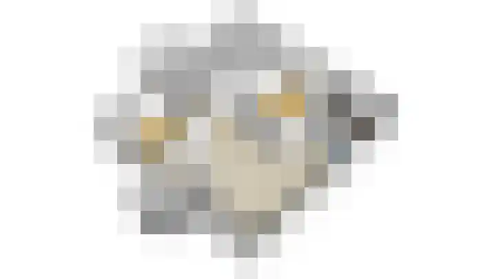 Warmoeshof 22 Bemmel thumbnail 41