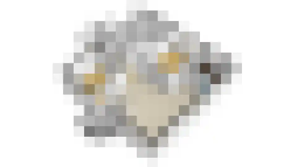 Warmoeshof 22 Bemmel thumbnail 41