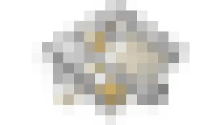 Warmoeshof 22 Bemmel thumbnail 42