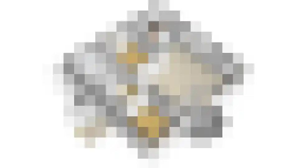 Warmoeshof 22 Bemmel thumbnail 42