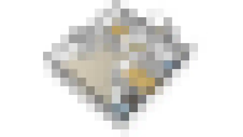 Warmoeshof 22 Bemmel thumbnail 43
