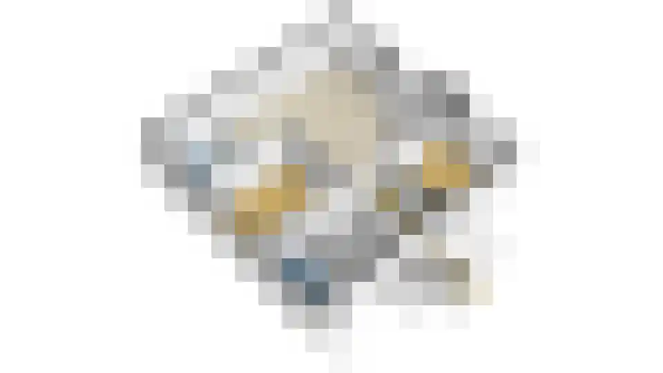 Warmoeshof 22 Bemmel thumbnail 44