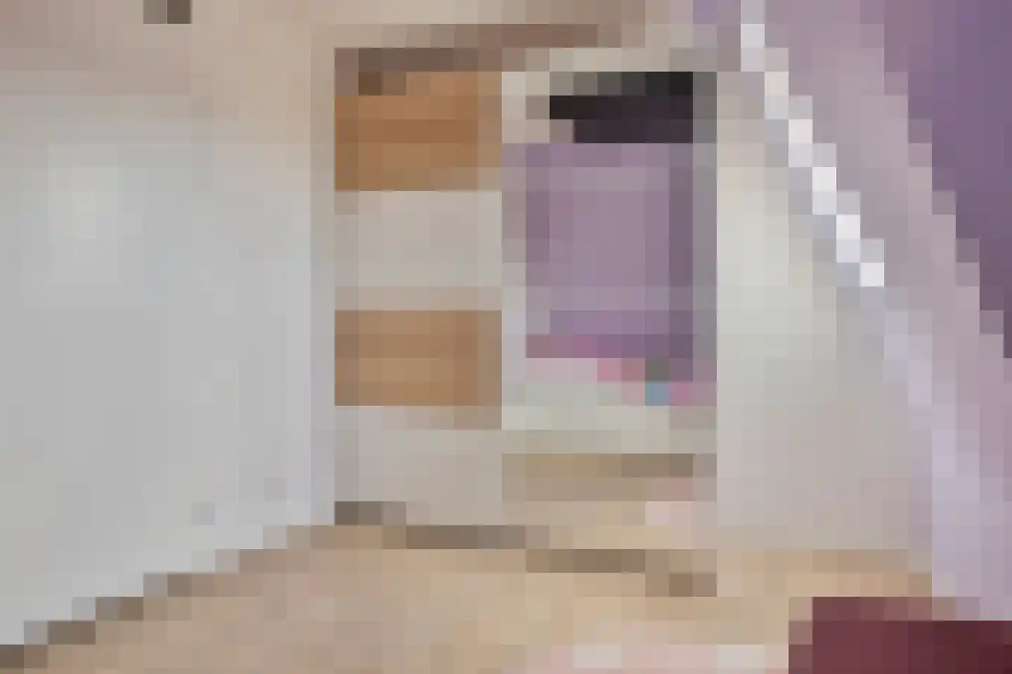 Warmoeshof 22 Rijsbergen thumbnail 20