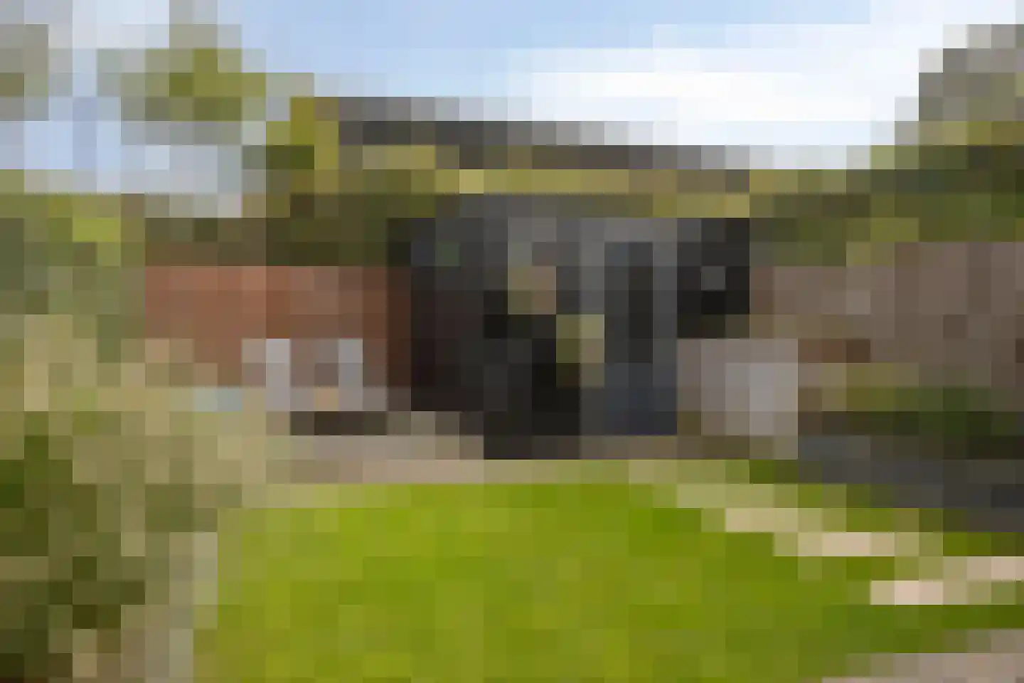 Warmoeshof 22 Rijsbergen thumbnail 23