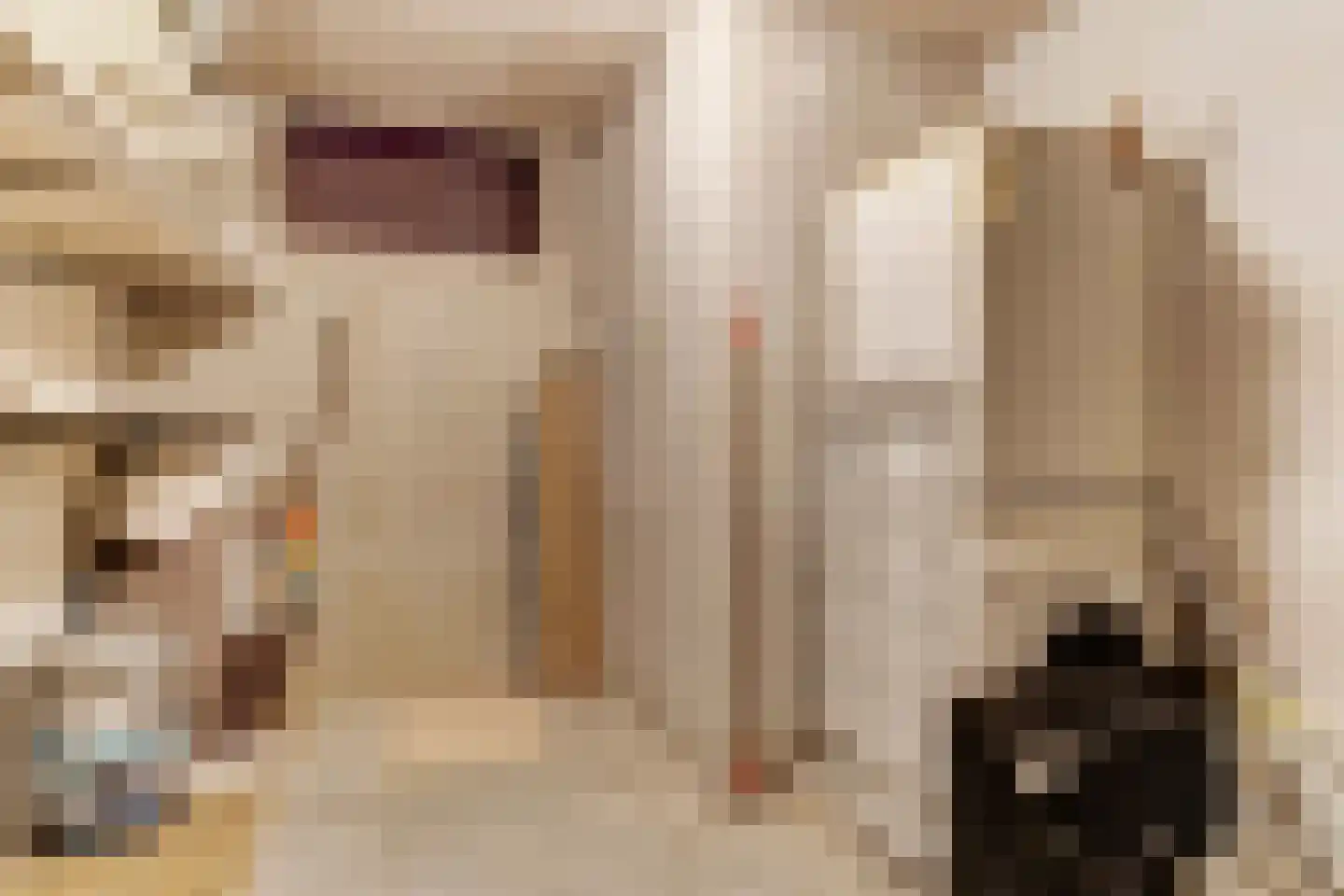 Warmoeshof 38 Bemmel thumbnail 21
