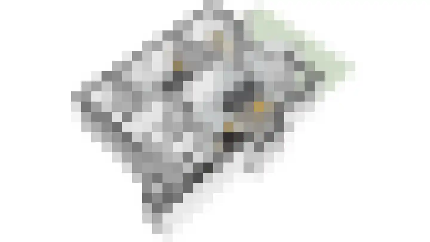 Warmoeshof 38 Bemmel thumbnail 26