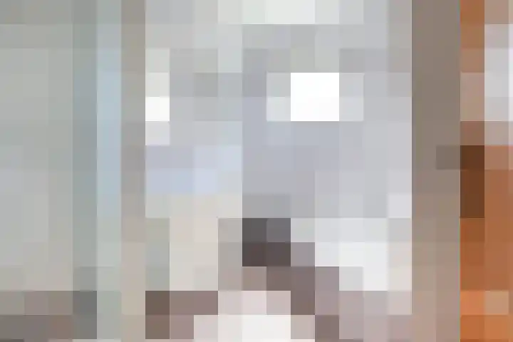 Warmoeskade 7 Boskoop thumbnail 12