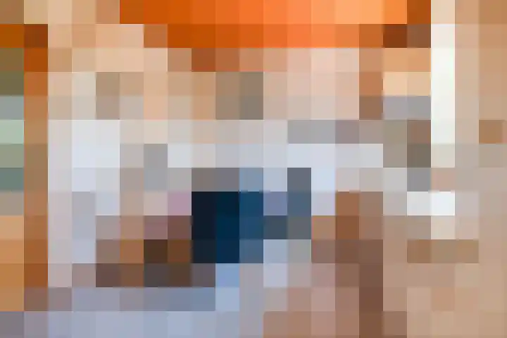 Warmoeskade 7 Boskoop thumbnail 14