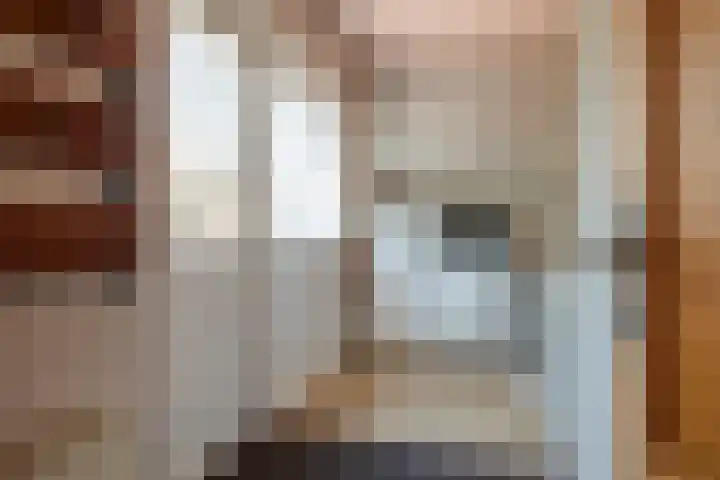 Warmoeskade 7 Boskoop thumbnail 17