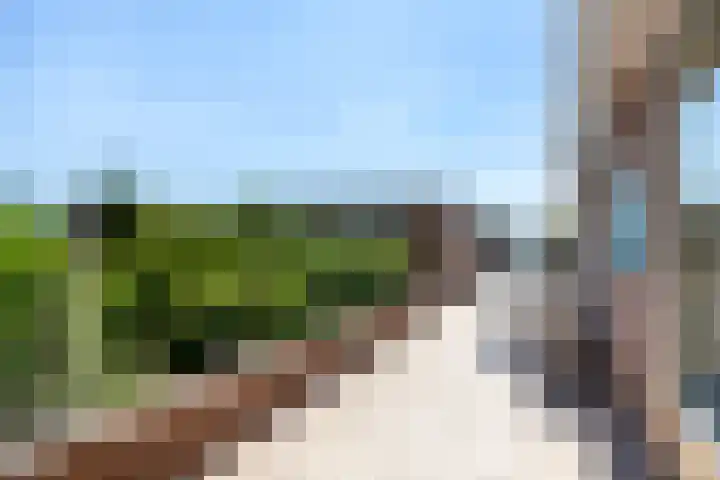 Warmoeskade 7 Boskoop thumbnail 28