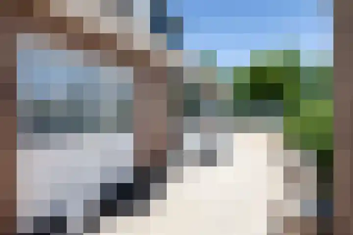 Warmoeskade 7 Boskoop thumbnail 30