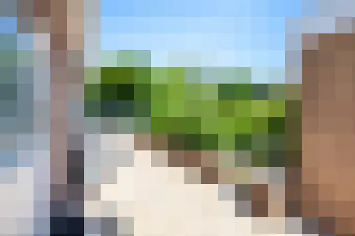Warmoeskade 7 Boskoop thumbnail 31